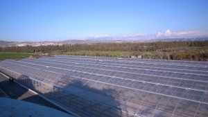 Sludge solar drying plants
